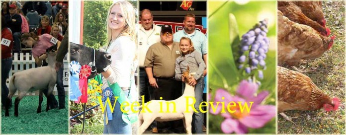 Week in review: 8/15 Week in review: 8/15