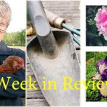 Farm and Dairy’s week in review: 8/29 Week in Review 8/29