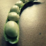 white runner beans