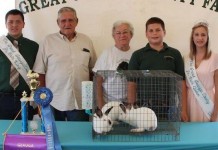 Geauga County Junior Fair auction results Grand champion rabbit meat pen