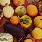 How to pick the perfect pumpkin, gourd or squash Gourds