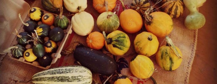 Gourds