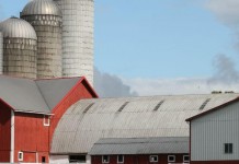 Meadow Grove Farm: For Dan Hartzell, it’s not just family history, it’s a way of life Hartzell 11: Meadow Grove Farm