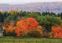 Interactive map shows when leaves are expected to change color autumn scene
