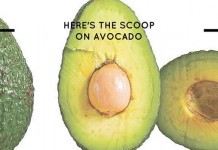 Here’s the scoop on avocado avocado, avocado cut open and avocado with seed removed