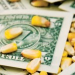 corn kernels and dollar bills