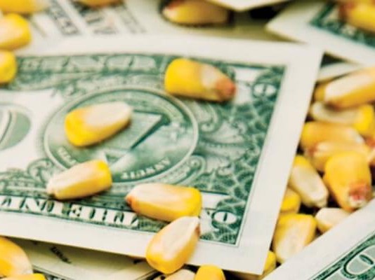 And you thought ‘business’ people knew economics corn kernels and dollar bills