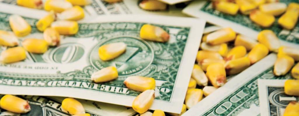 corn kernels and dollar bills