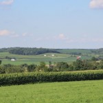 Ask FSA Andy about agency programs farmland