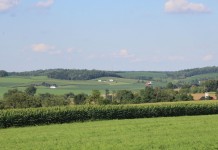 Ask FSA Andy about agency programs farmland