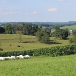 Belmont SWCD offers ag easement purchase program acres of land