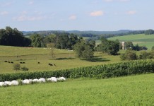 Belmont SWCD offers ag easement purchase program acres of land