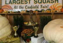 Canfield Fair 2015 rs ch pumpkin