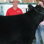 Support for county fairs continues to amaze