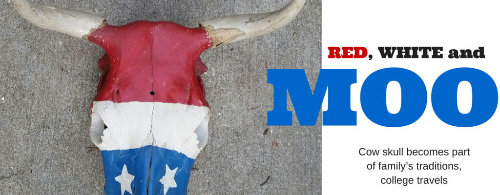 Red, white and blue cow skull