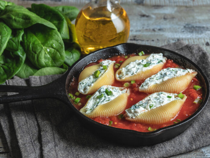 shells-web Turtle Shells