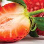 Organic strawberries are often profitable, but risky strawberries