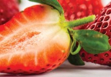 Organic strawberries are often profitable, but risky strawberries