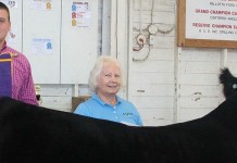 OCA offers opportunities for breeders and youth Wayne County Champion Steer
