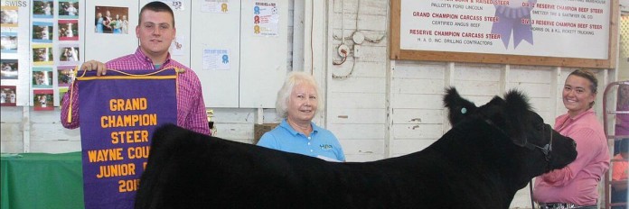 Wayne County Champion Steer
