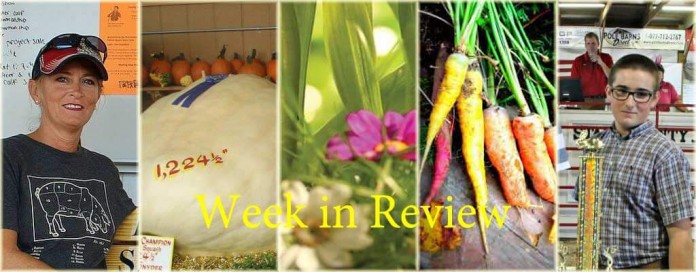 Week in Review: 9/12 Week in Review: 9/12