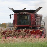 10.22 Harvest Ashland head on