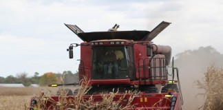 Crop harvest ahead of usual, but yields are down Corn harvest