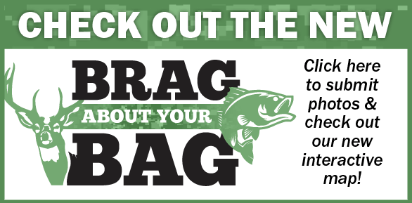 Brag About Your Bag homepage promo