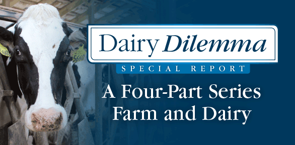 dairy dilemma-small