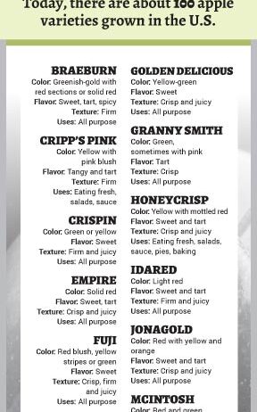 October is Apple Month infographic October is Apple Month infographic