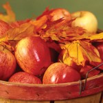 October is apple month (Infographic) basket of apples