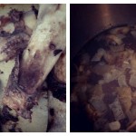 beef stock collage