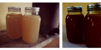 chicken and beef stock in jars