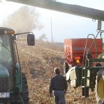 Tipsy markets still looking for direction corn harvest