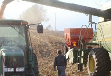 Expect a Cuban junket in 2016 corn harvest