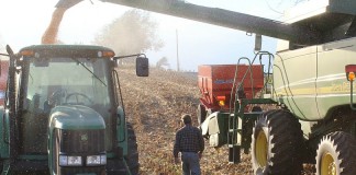 Harvesting (and marketing) grain in hope corn harvest
