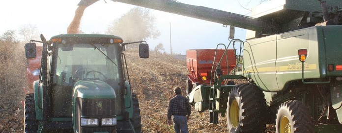 corn harvest corn harvest