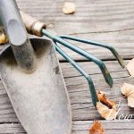 garden tools and fall leaves