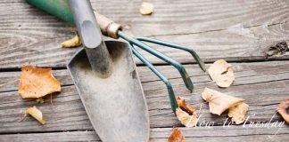 garden tools and fall leaves