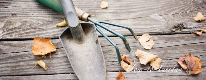 garden tools and fall leaves