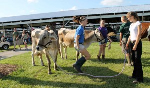 girls at 2011 Trumbull County Fair girls at 2011 Trumbull County Fair