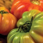 How to choose heirloom seeds: 5 tips heirloom tomatoes