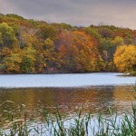 Northeast Ohio experiencing Indian Summer lake with trees changing colors