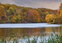 Northeast Ohio experiencing Indian Summer lake with trees changing colors