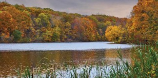 Northeast Ohio experiencing Indian Summer lake with trees changing colors
