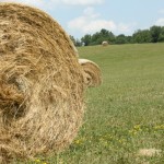 Harvesting crops isn’t the only thing you should be doing this fall large round hay bale in field
