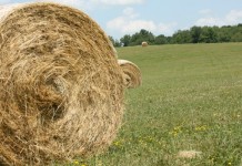 Kuhn wins multiple innovation awards for hay-making equipment large round hay bale in field