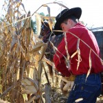 ‘It’s a heritage thing’: Ohioans keep hand corn husking tradition alive