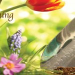 October’s gardening to-do list flowers and trowel