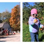 orchard collage